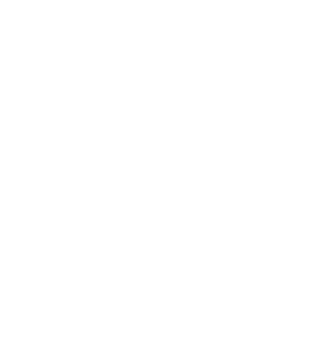 FFLOGO